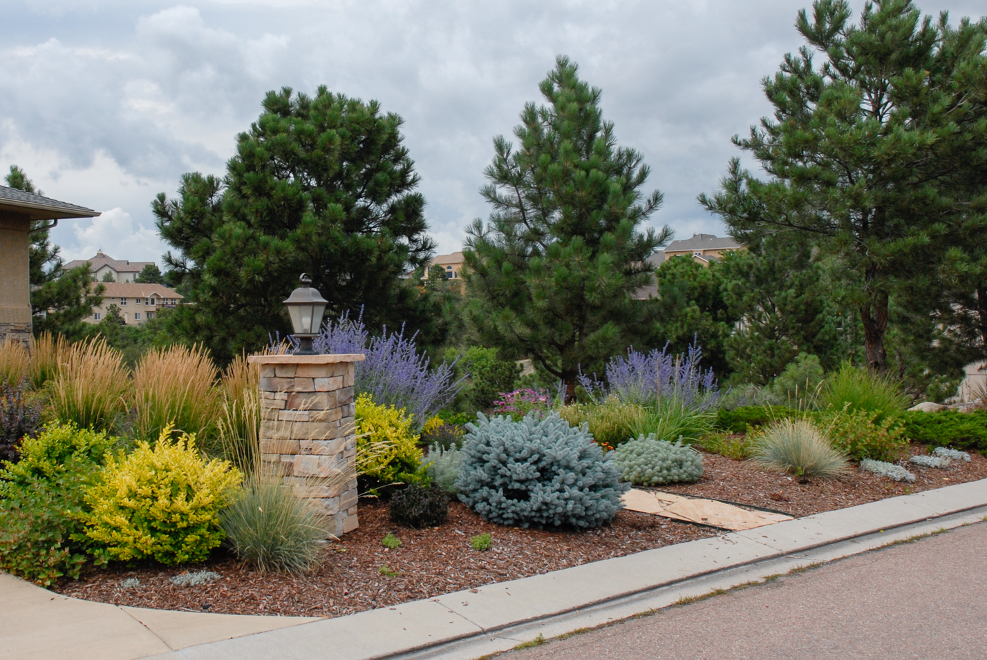 Exceptional Entrance